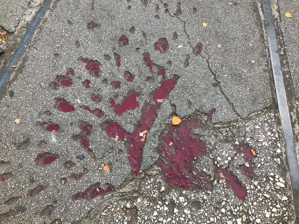 The Sarajevo Roses