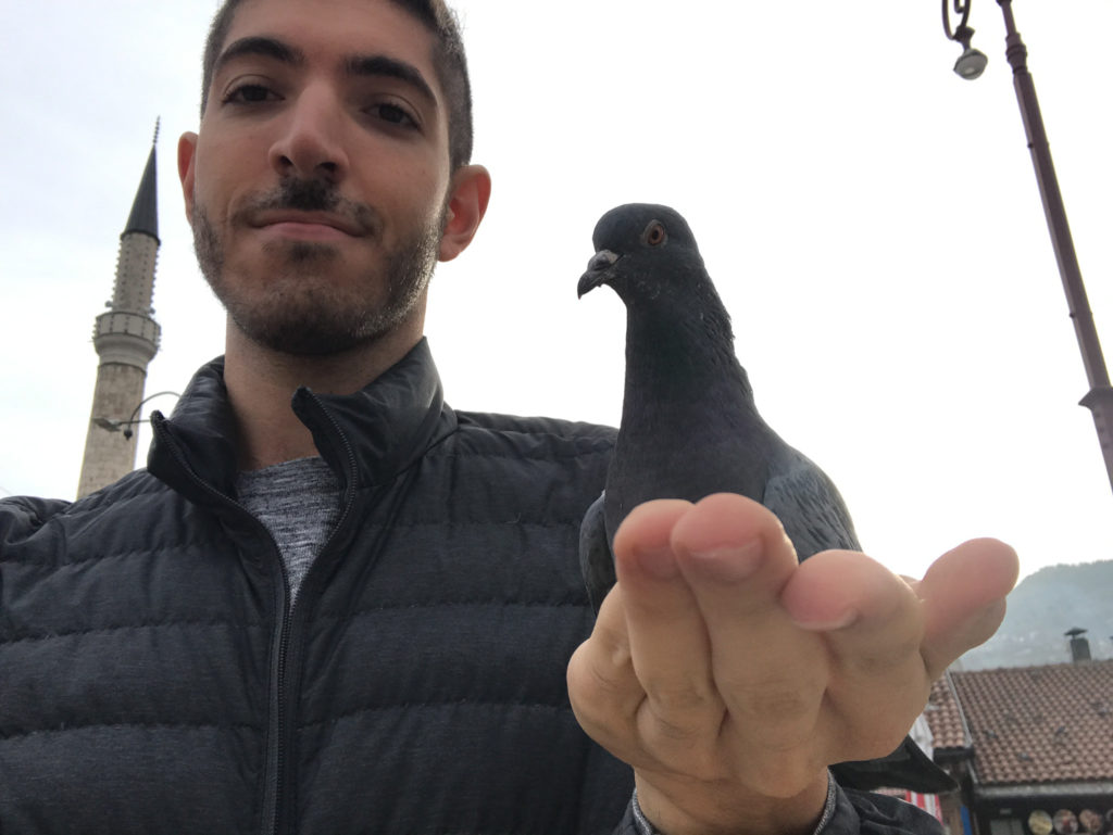 Rocky holding a pigeon at Baščaršija