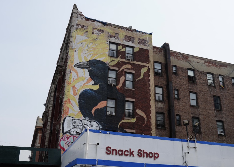 Audubon Mural Project in NYC