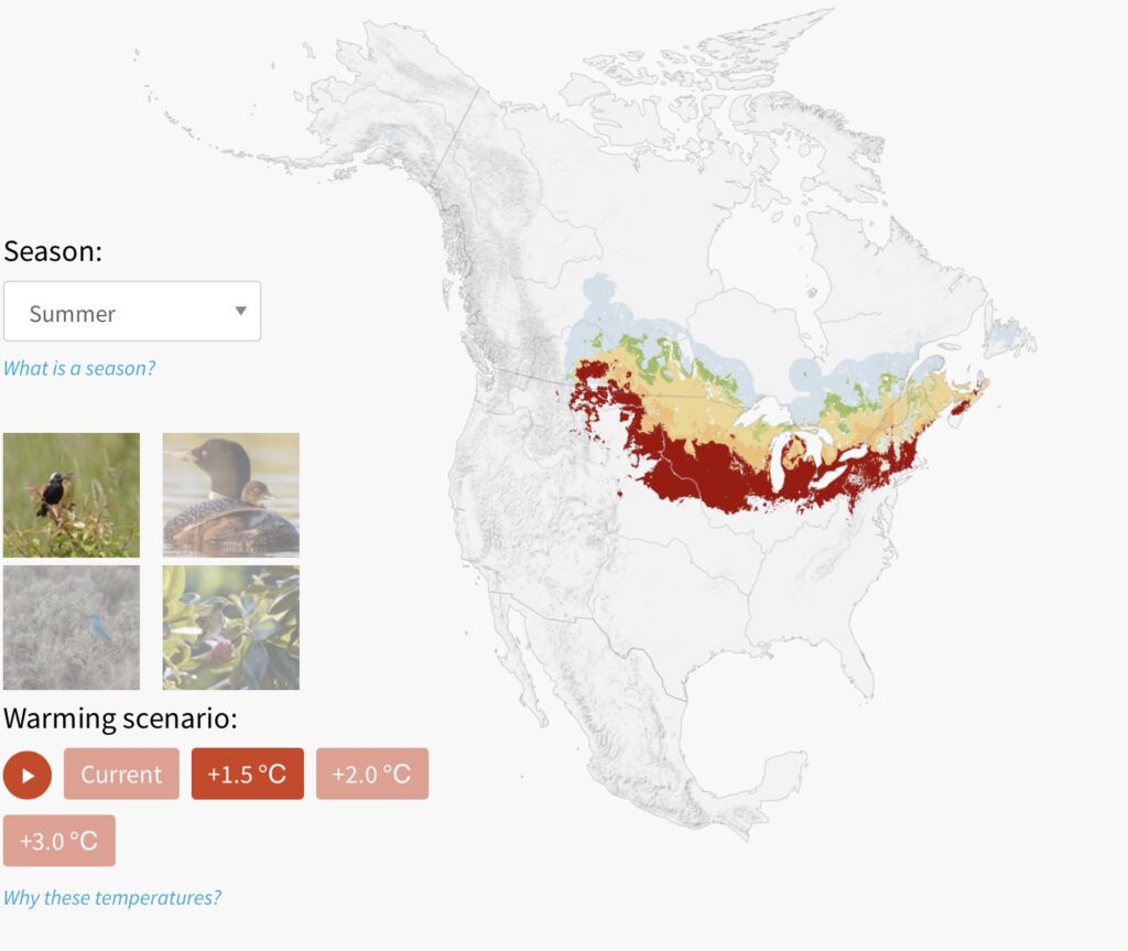 Audubon's Survival by Degrees Project