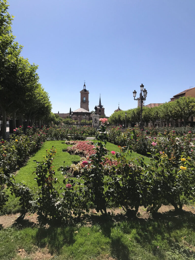 Alcala de Henares