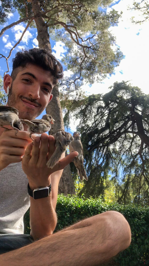 Rocky holding sparrows in Spain