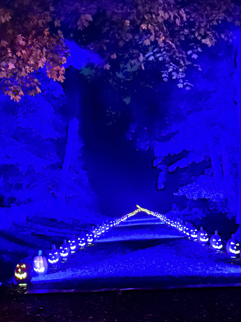 The Infinite Trail at the Great Jack O'Lantern Blaze