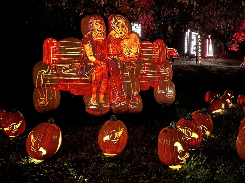 Feeding pigeons at the Great Jack O'Lantern Blaze