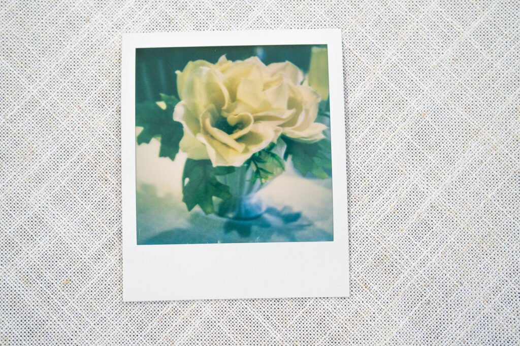 My SX-70 Film Photo