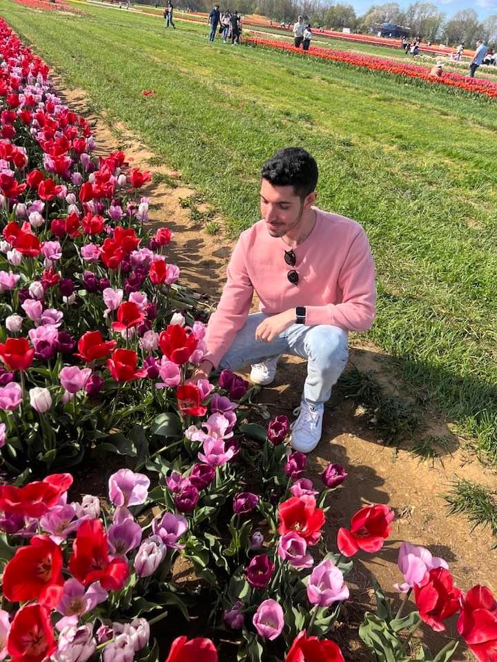 The Rocky Safari picking tulips