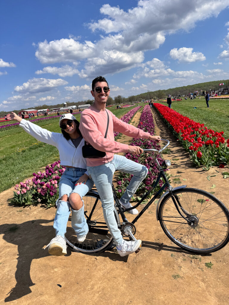Dutch bicycles signify Dutch culture