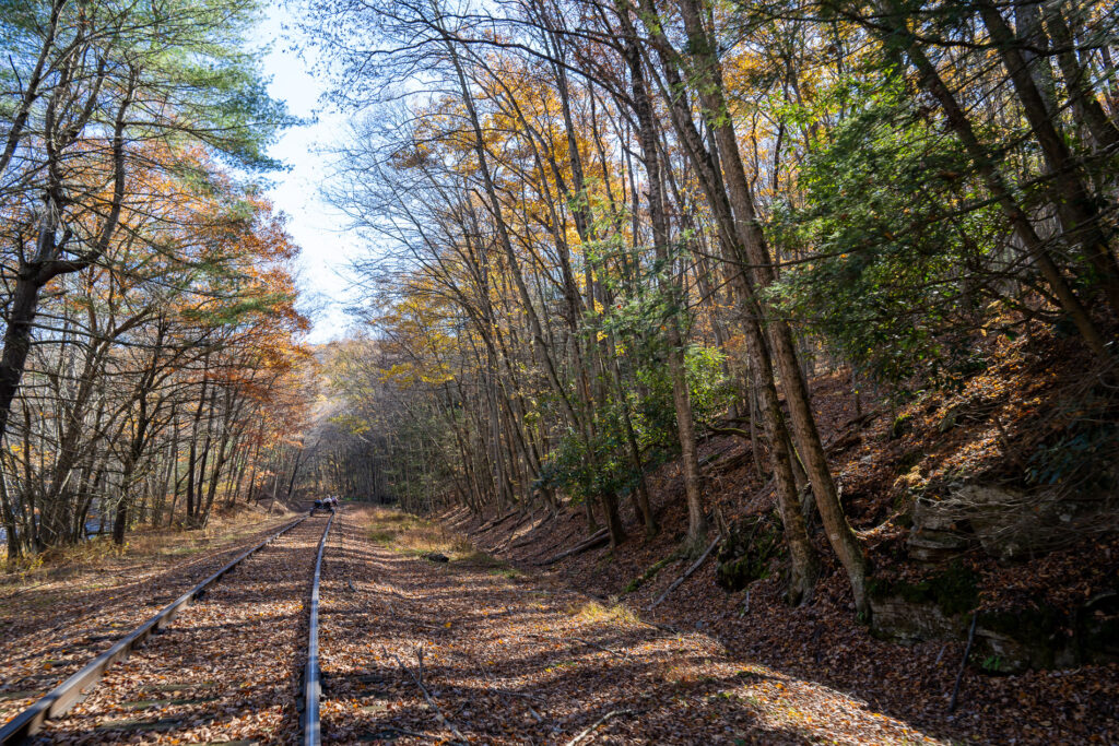 Traveling on a rail bike