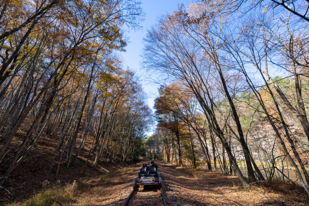 Leading the pack home